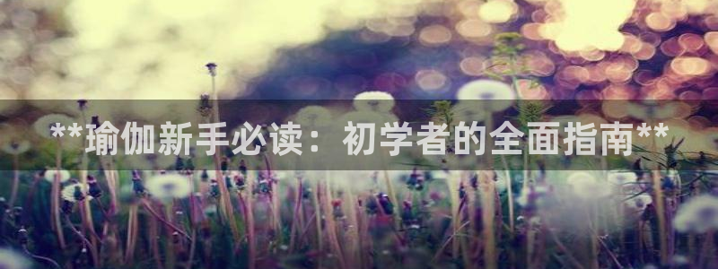 欧洲杯下赌注平台