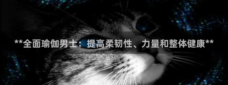 欧洲杯买球网