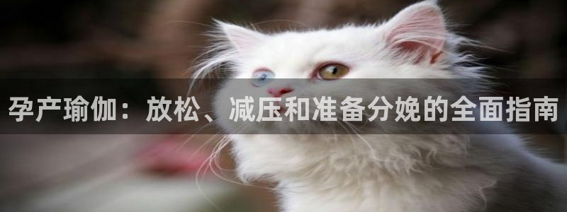 welcome欧洲杯官网