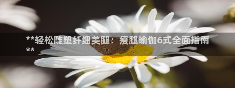 welcome欧洲杯