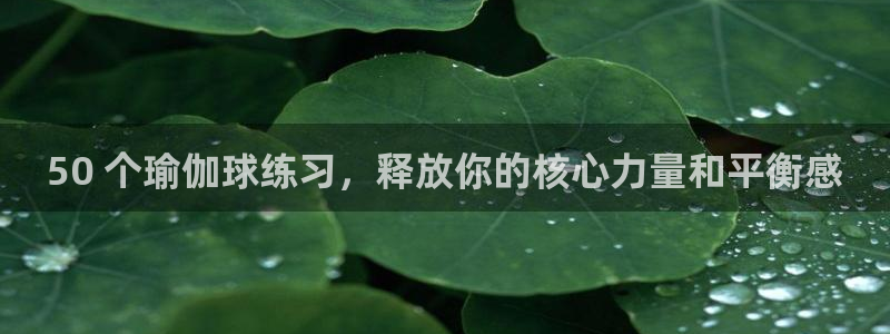 欧洲杯买足球软件
