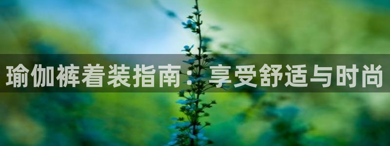 欧洲杯下赌注平台