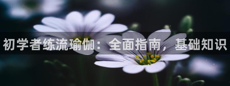 欧洲杯哪里买球靠谱