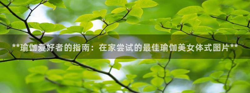 欧洲杯竞猜软件