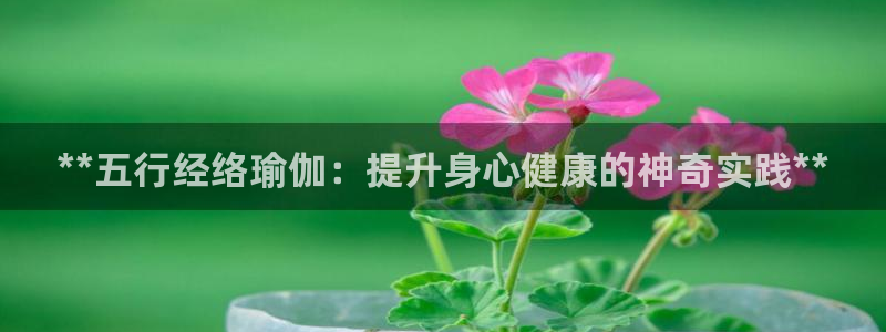 欧洲杯竞猜软件