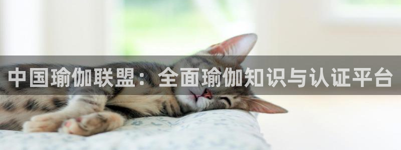 欧洲杯下赌注平台