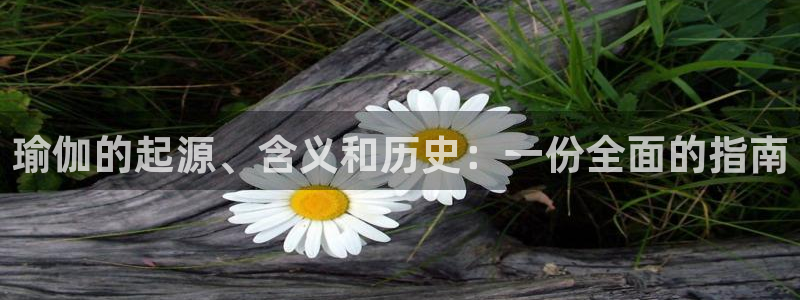 欧洲杯买注在哪买