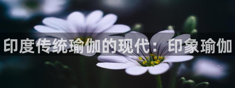 欧洲杯买球手机app
