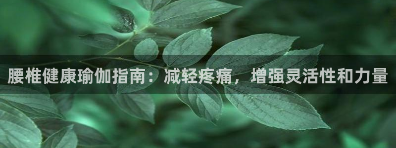 欧洲杯投注在哪找网址