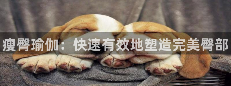 欧洲杯投注官方网站入口