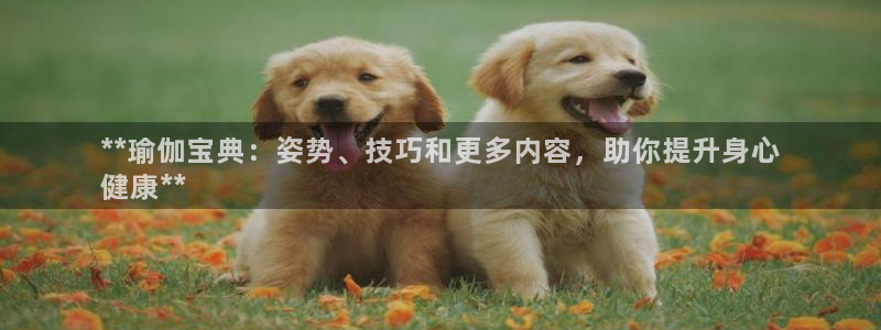 十大靠谱外围买球网站
