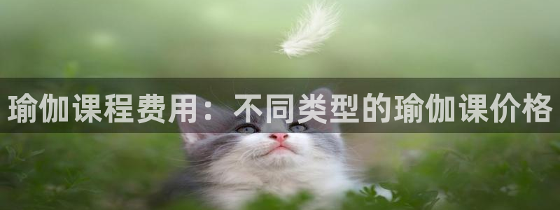 2024欧洲杯买球手机版