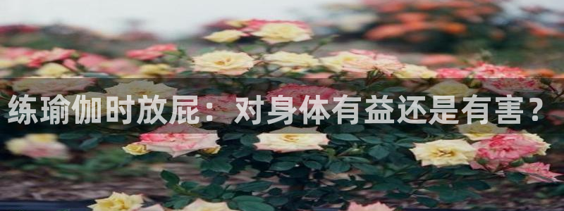 2024欧洲杯买球推荐