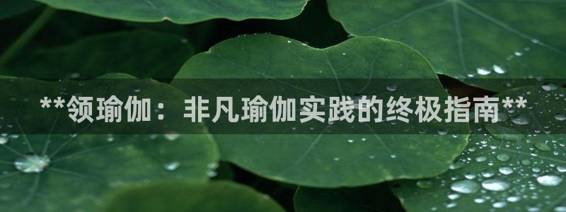 欧洲杯下单平台
