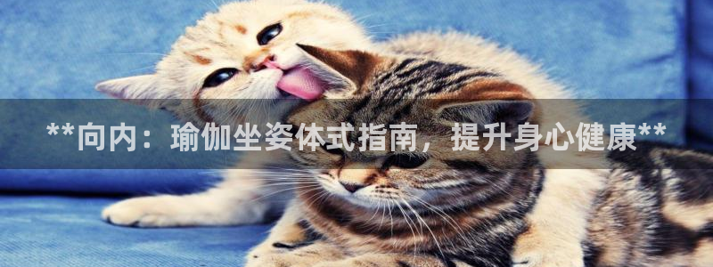 欧洲杯竞猜软件