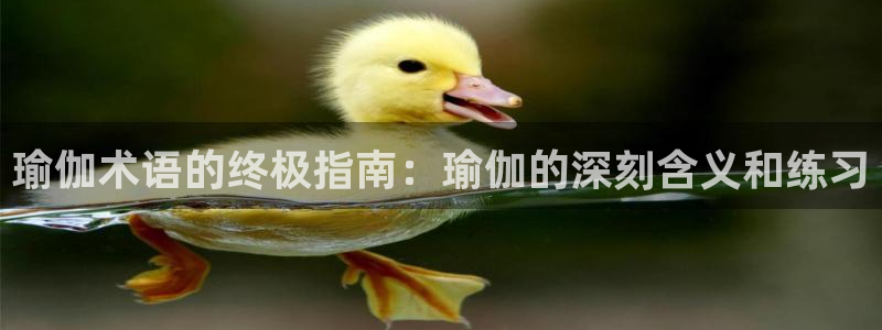 欧洲杯下单平台官网