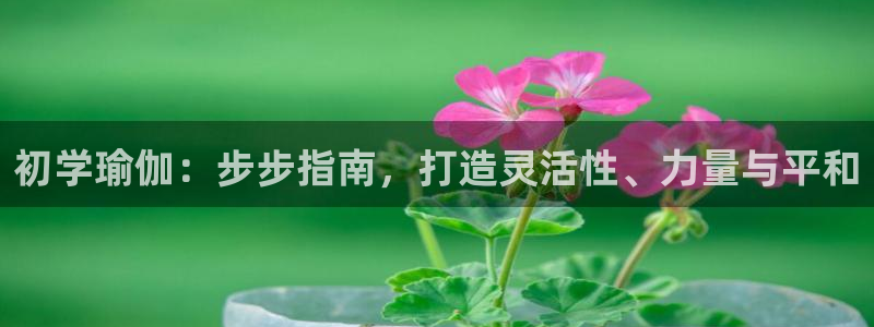 welcome欧洲杯开户