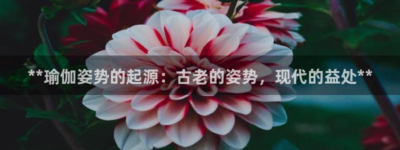 欧洲杯投注推荐网站