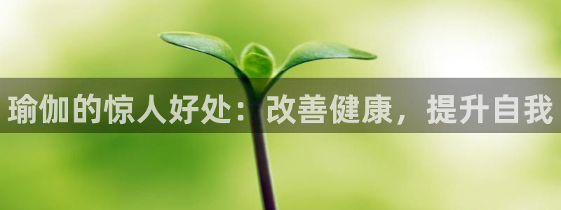 2024欧洲杯买球推荐