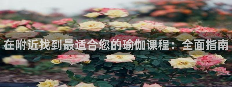 欧洲杯买足球软件