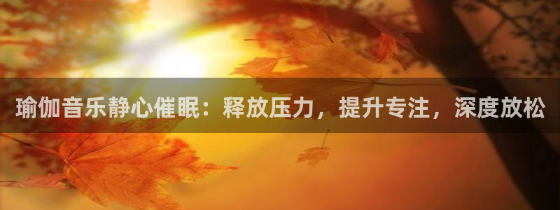 2024欧洲杯买球手机版
