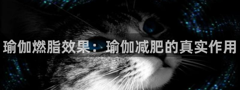 欧洲杯下单平台官网