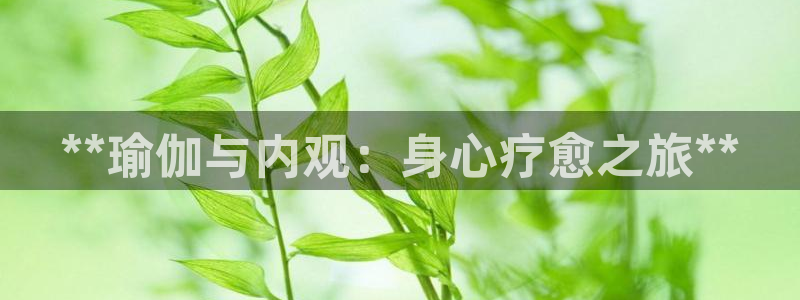 2024年欧洲杯投注