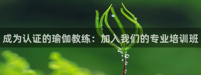 欧洲杯买球手机app