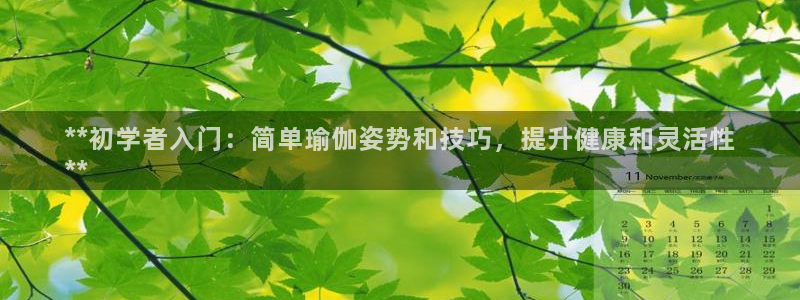 欧洲杯哪里买球靠谱