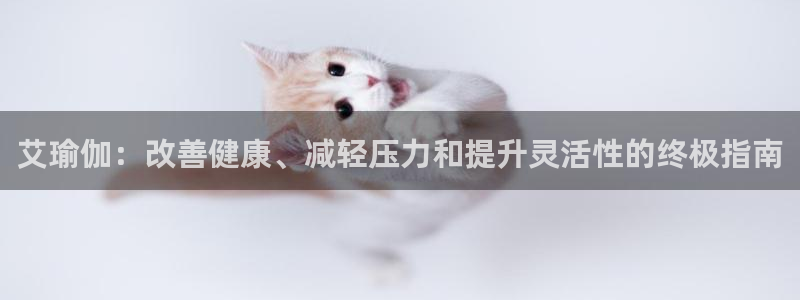 欧洲杯下单网址