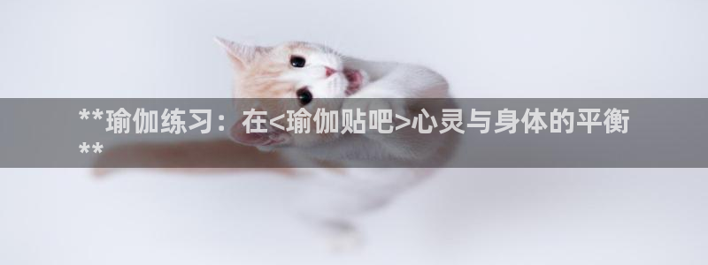 欧洲杯最新赛程