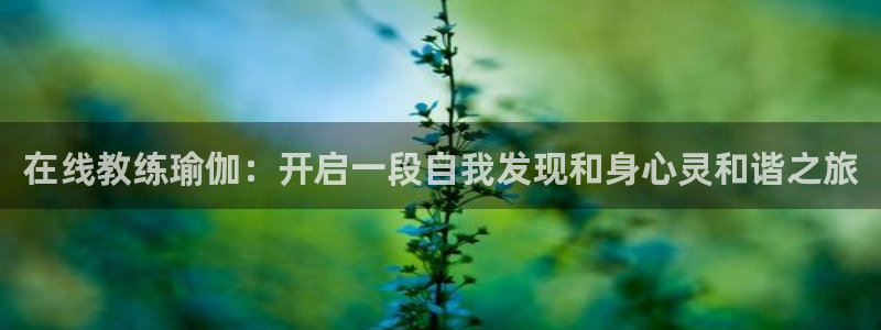 2024欧洲杯买球手机版