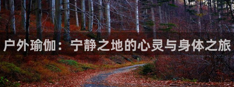 买足球平台哪个比较好