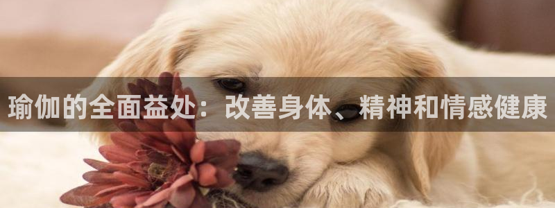 欧洲杯竞猜网站