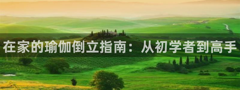 欧洲杯押注入口