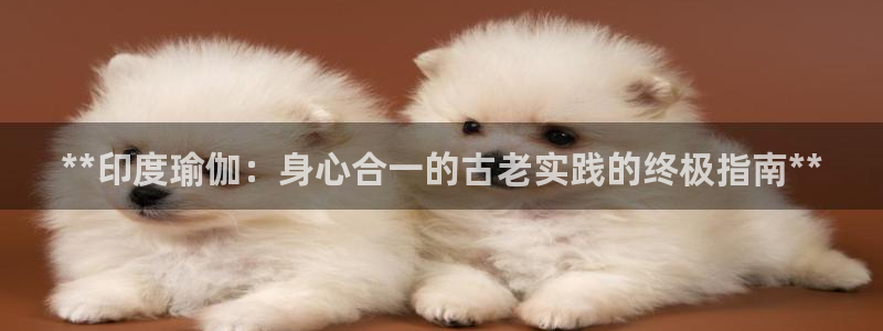 欧洲杯买注在哪买