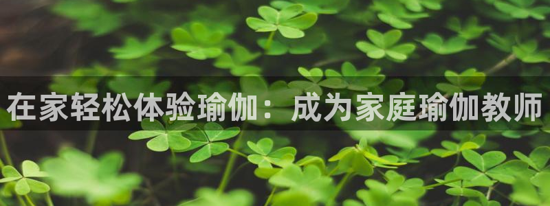 欧洲杯在哪个网站购买