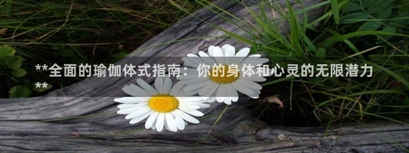 欧洲杯投注推荐网站