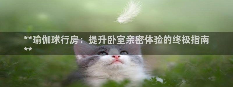 欧洲杯最新赛程